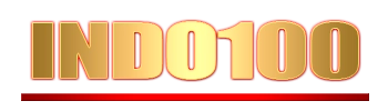 Logo Indo100